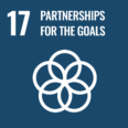 Gaol 17: Partnerships for the Goals